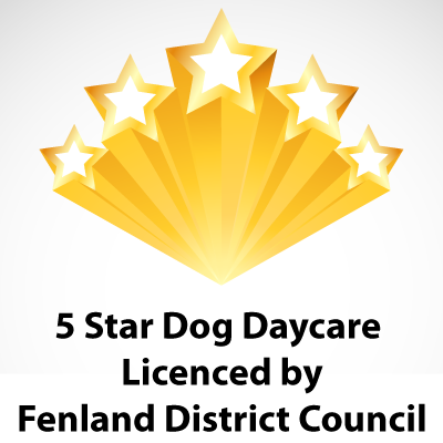 fivestar licence